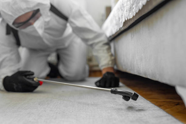 Professional Bed Bug Control technician working in Andrews, IN